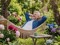 Man iklädd blå skjorta ligger i en hängmatta i trädgården.